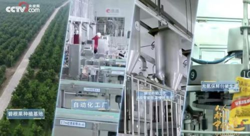 洽洽20年 一把堅果背后的匠心與堅守，與網絡科技領域技術開發的跨界啟示